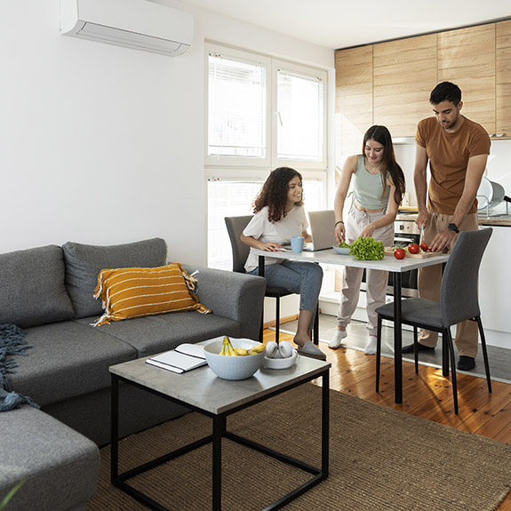 2 BHK Apartment